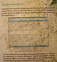 19 - La restauration des herbiers (2).jpg